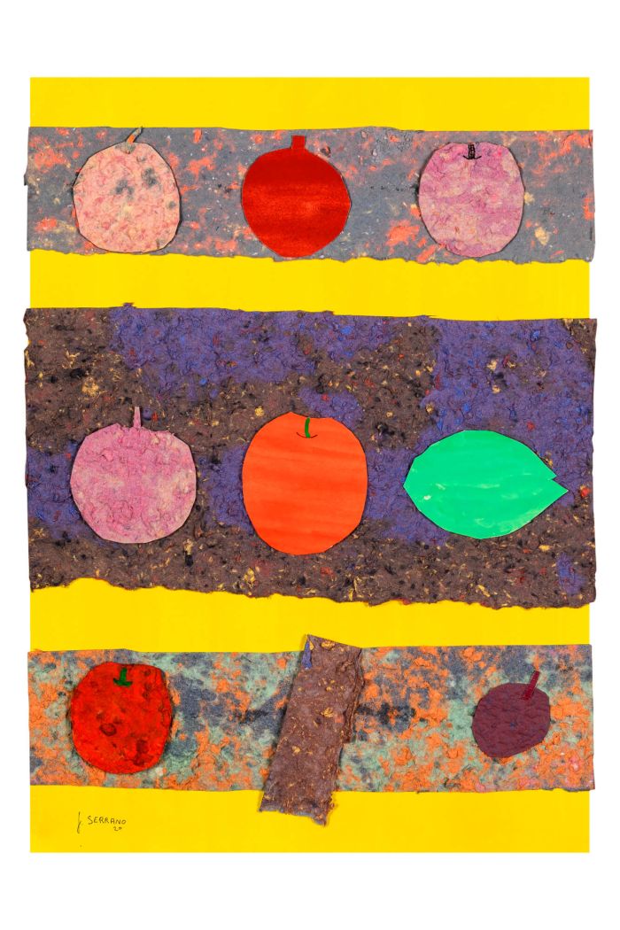 Collage 5
