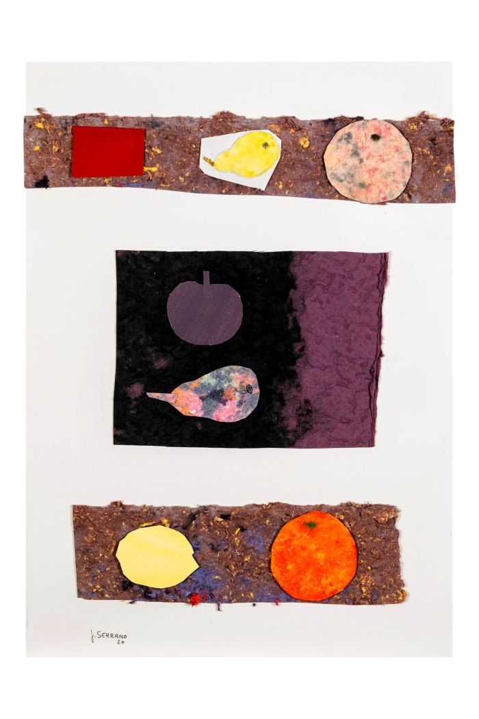 Collage 7